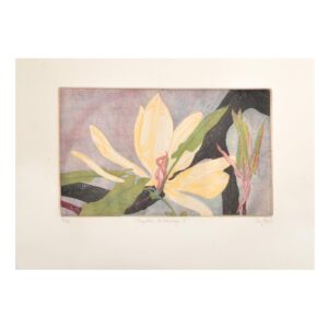 handmade colored magnolia etching