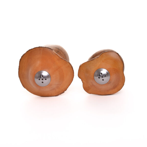 Mushroom Salt and Pepper Shakers – Rhododendron & Maple – Southern