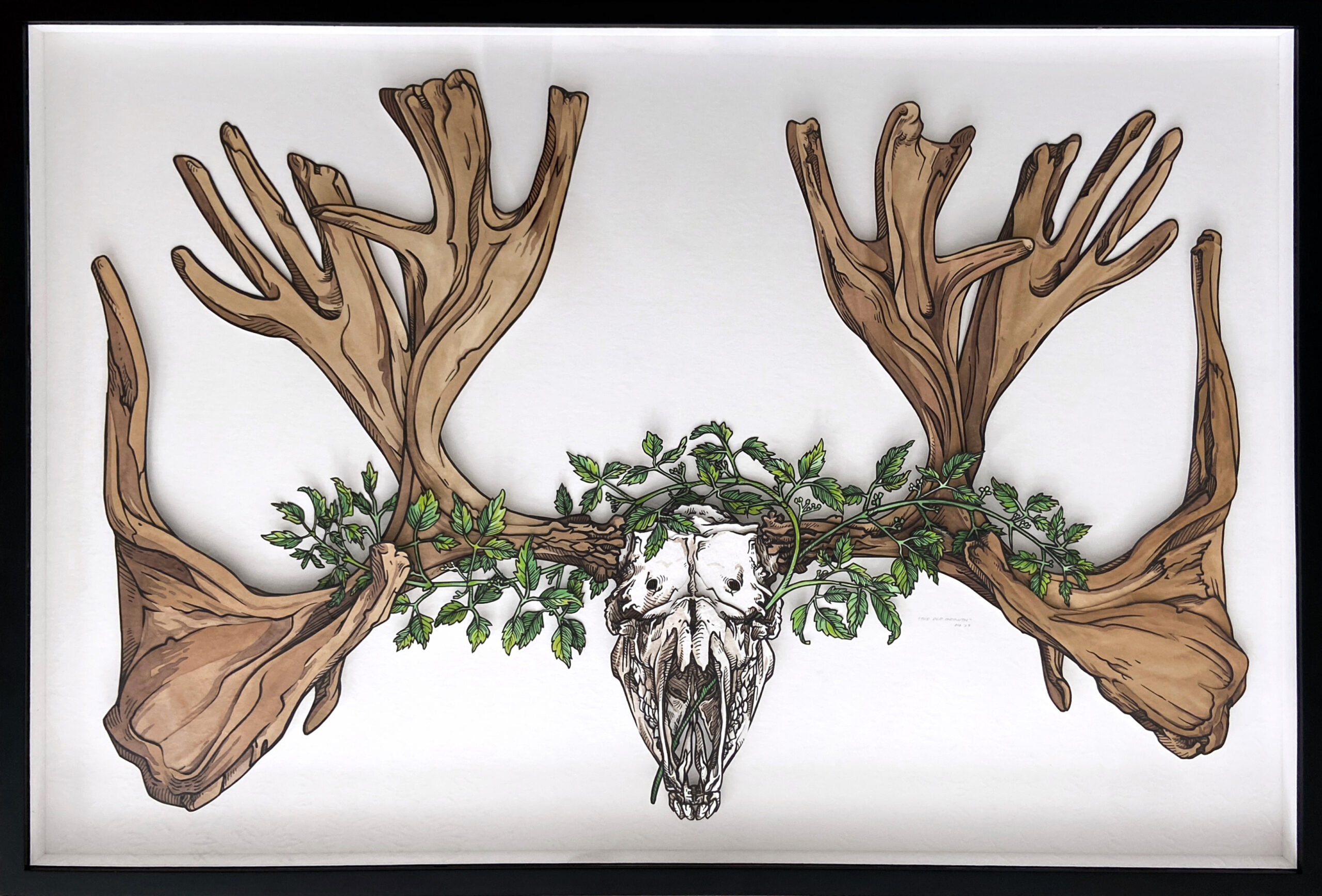 02 Stacia Baldwin_Beastie and Bone The Old Growth - Stacia Baldwin Stacia Baldwin