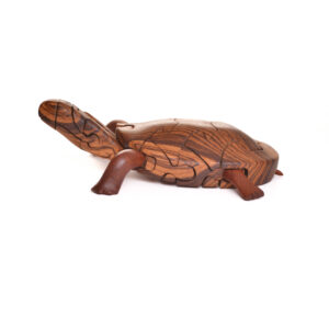 You will find a hidden egg inside of this turtle as you take it apart. Each piece comes with care and instructions.