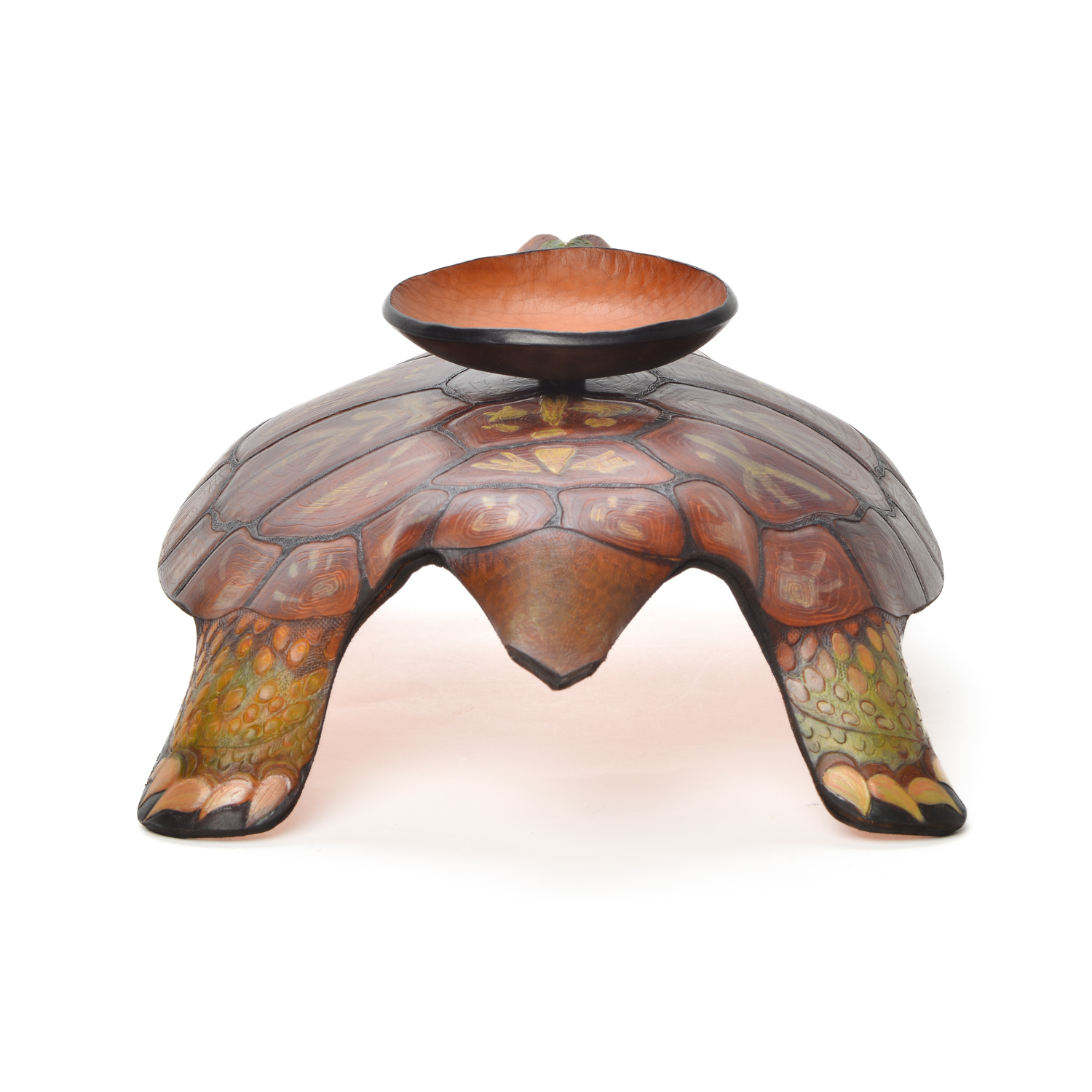 Tennessee Turtle #1 - Image 2