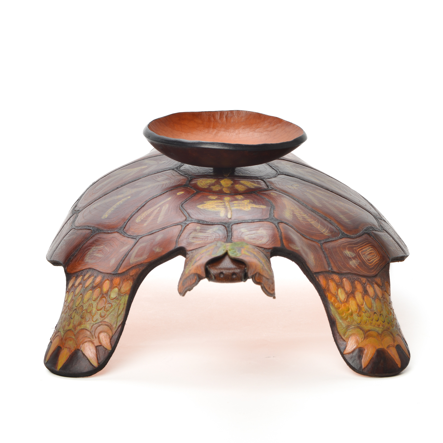 Tennessee Turtle #1 - Image 4