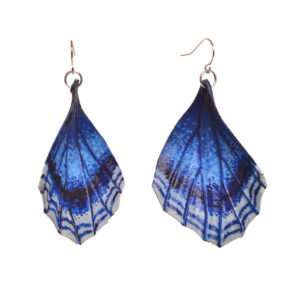 Red-spotted purple Admiral butterfly earrings, hand tooled and painted on veg tanned leather. Thin, slightly flexible and very light. The design is drawn on the leather, tooled, cut out and shaved down thin. They are then soaked with a leather dye that stiffens the leather, and shaped as they dry. Finished with a coat of clear sealer.