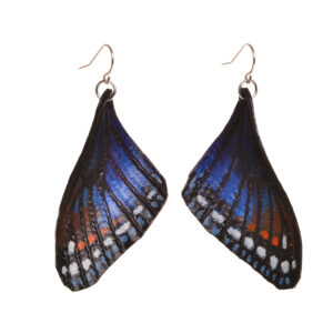 Red-spotted purple Admiral butterfly earrings, hand tooled and painted on veg tanned leather. Thin, slightly flexible and very light. The design is drawn on the leather, tooled, cut out and shaved down thin. They are then soaked with a leather dye that stiffens the leather, and shaped as they dry. Finished with a coat of clear sealer.