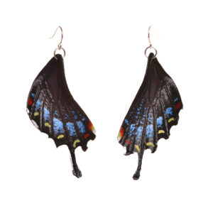 Spicebush Swallowtail butterfly earrings, hand tooled and painted on veg tanned leather. Thin, slightly flexible and very light. The design is drawn on the leather, tooled, cut out and shaved down thin. They are then soaked with a leather dye that stiffens the leather, and shaped as they dry. Finished with a coat of clear sealer.