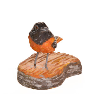 Realistic hand carved and painted Robin. Masterfully painted and posed. Artist John Dickens has been carving wood for 48 years. John wrote, "each time I do an animal, I want to do it in a different pose so I can learn more about its anatomy and how it moves and behaves." His primary subjects are the local songbirds found at his backyard bird feeder, animals, fish, people and reliefs.