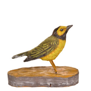 Realistic hand carved and painted Hooded Warbler. Masterfully painted and posed. John Dickens carves each piece with an ordinary pocketknife. John has been carving wood for 48 years. John wrote, "each time I do an animal, I want to do it in a different pose so I can learn more about its anatomy and how it moves and behaves." His primary subjects are the local songbirds found at his backyard bird feeder, animals, fish, people and reliefs.