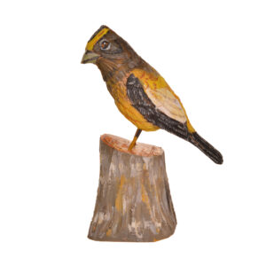 Realistic hand carved and painted Evening Grosbeak. Masterfully painted and posed. John Dickens carves each piece with an ordinary pocketknife. John has been carving wood for 48 years. John wrote, "each time I do an animal, I want to do it in a different pose so I can learn more about its anatomy and how it moves and behaves." His primary subjects are the local songbirds found at his backyard bird feeder, animals, fish, people and reliefs.