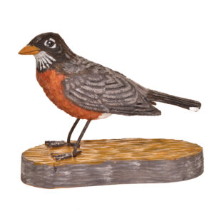 Realistic hand carved and painted Robin. Masterfully painted and posed. Artist John Dickens has been carving wood for 48 years. John wrote, "each time I do an animal, I want to do it in a different pose so I can learn more about its anatomy and how it moves and behaves." His primary subjects are the local songbirds found at his backyard bird feeder, animals, fish, people and reliefs.