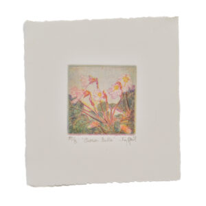 'Oconee Bells' is a 3 plate soft-ground etching and engraving printed on rag paper. Artist Jay Pfeil created this on one of her many hikes through these mountains. She is in the process of printing an edition of 95 signed, numbered and hand-pulled intaglio prints.