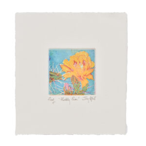 'Prickly Pear' is a 3 plate soft-ground etching and engraving printed on rag paper. Artist Jay Pfeil created this on one of her many hikes through these mountains. She is in the process of printing an edition of 95 signed, numbered and hand-pulled intaglio prints.