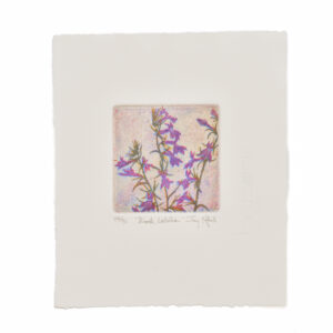 'Brook Lobelia' is a 3 plate soft-ground etching and engraving printed on rag paper. Artist Jay Pfeil created this on one of her many hikes through these mountains. She is in the process of printing an edition of 95 signed, numbered, and hand-pulled intaglio prints.