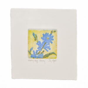 'Chicory' is a 3 plate soft-ground etching and engraving printed on rag paper. Artist Jay Pfeil created this on one of her many hikes through these mountains. She is in the process of printing an edition of 95 signed, numbered, and hand-pulled intaglio prints.