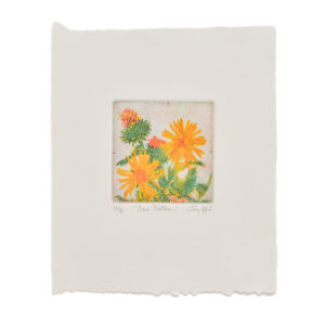 'Sour Thistles' is a 3 plate soft-ground etching and engraving printed on rag paper. Artist Jay Pfeil created this on one of her many hikes through these mountains. She is in the process of printing an edition of 95 signed, numbered, and hand-pulled intaglio prints.