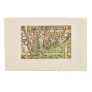 'Tall Bellflower and Yellow Jewelweed' is a 3 plate soft-ground etching and engraving printed on Arches rag paper. Artist Jay Pfeil created this on one of her many hikes through these mountains. She is in the process of printing an edition of 95 signed, numbered and hand-pulled intaglio prints.