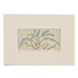 'New Growth XIII - Mountain Leucothoe' is a 3 plate soft-ground etching and engraving printed on Arches rag paper.