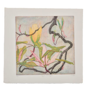Colorful magnolia 4-plate soft ground etching and engraving printed on Arches rag paper. Artist Jay Pfeil created this on one of her many hikes through these mountains. She is in the process of printing an edition of 95 signed, numbered and hand-pulled intaglio prints.