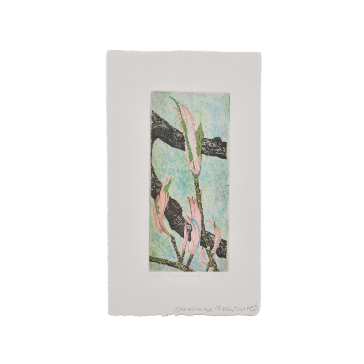 Colorful magnolia 4-plate soft ground etching and engraving printed on Arches rag paper. Artist Jay Pfeil created this on one of her many hikes through these mountains. She is in the process of printing an edition of 95 signed, numbered and hand-pulled intaglio prints.