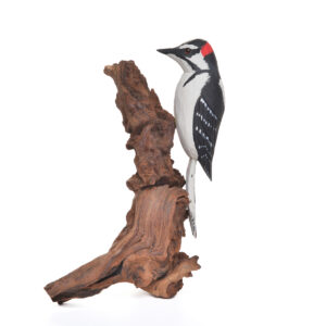 Large wooden carved and painted woodpecker. Artist Tony Dills hand carves and paints his birds and attaches them to pieces of wood. Nature has always been an important part of Tony’s life.