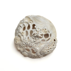 Coral Home