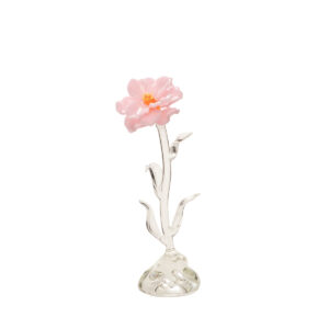 Camelia