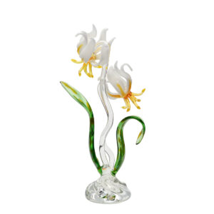 White Trout Lily