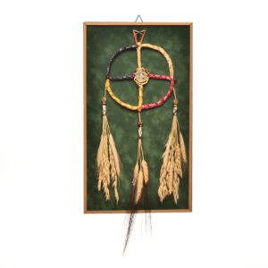 Plant Based Medicine Wheel